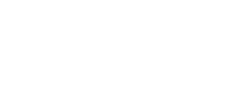 Optica Nostra